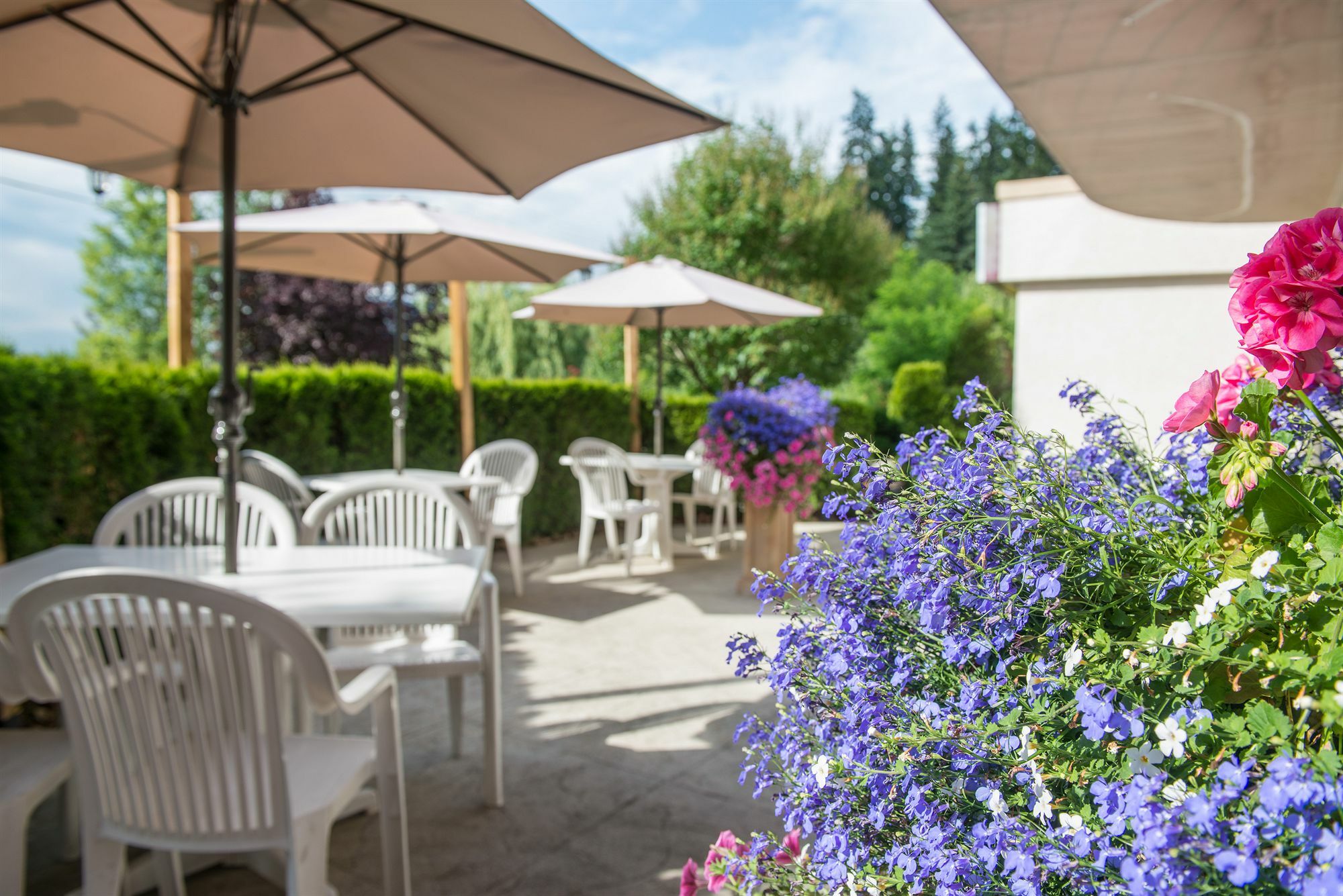 Hilltop Inn - Salmon Arm Exterior foto