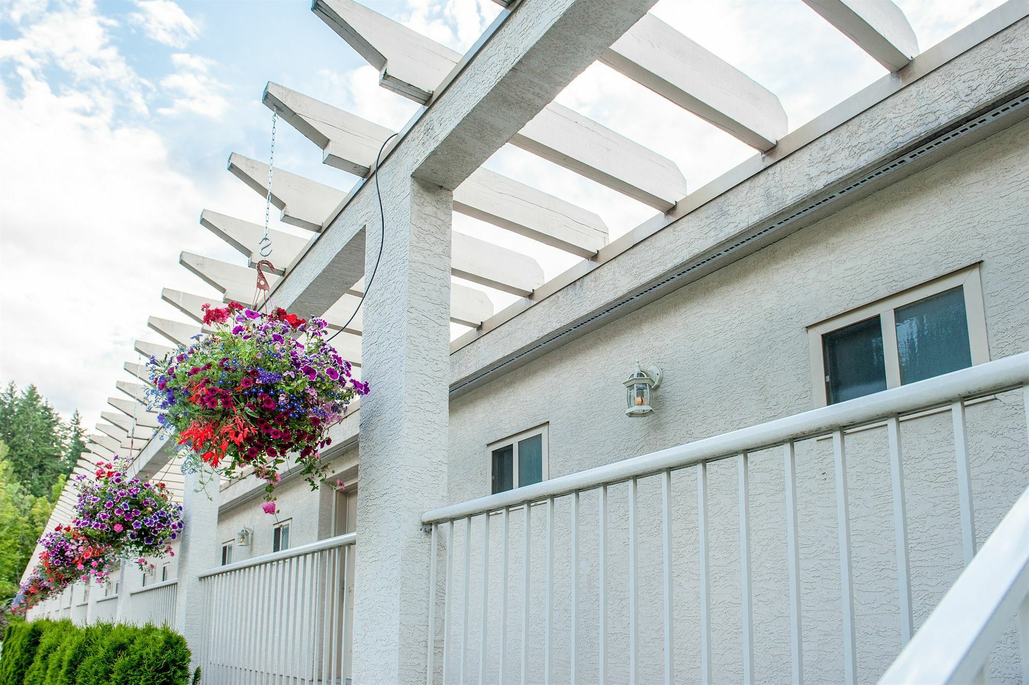 Hilltop Inn - Salmon Arm Exterior foto